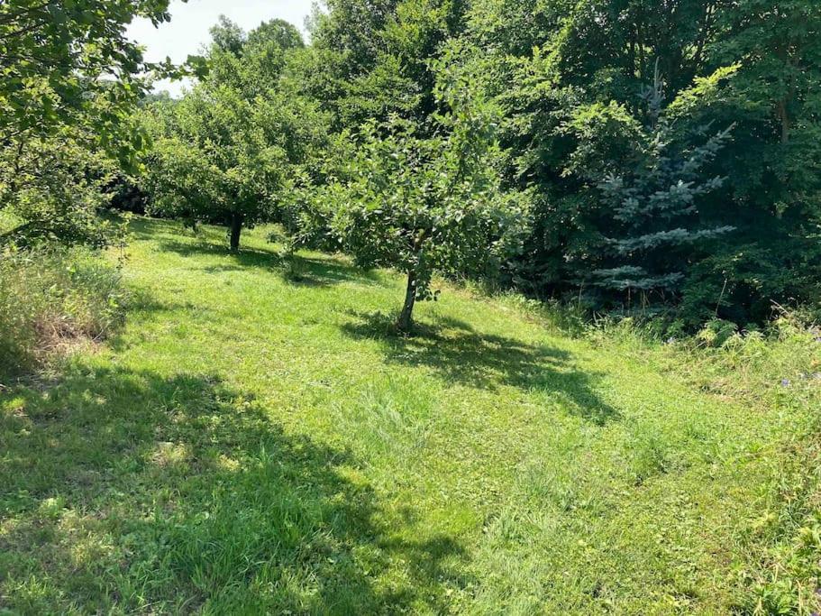 Ferienwohnung Niederstetten Екстериор снимка